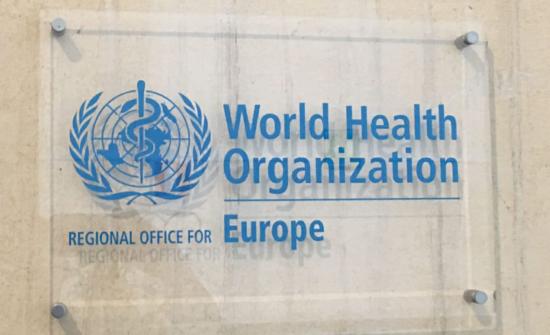 Meeting at the WHO European Centre for Investment for Health and Development